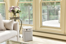 Load image into Gallery viewer, Austin Air HealthMate Plus Jr.