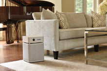 Load image into Gallery viewer, Austin Air HealthMate Jr.