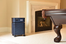 Load image into Gallery viewer, Austin Air HealthMate Plus